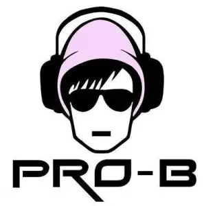 Radio Pro-B