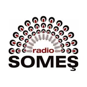 Radio Someș